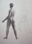 Rebecca C Gray, Standing Male Nude from Back, 2013.